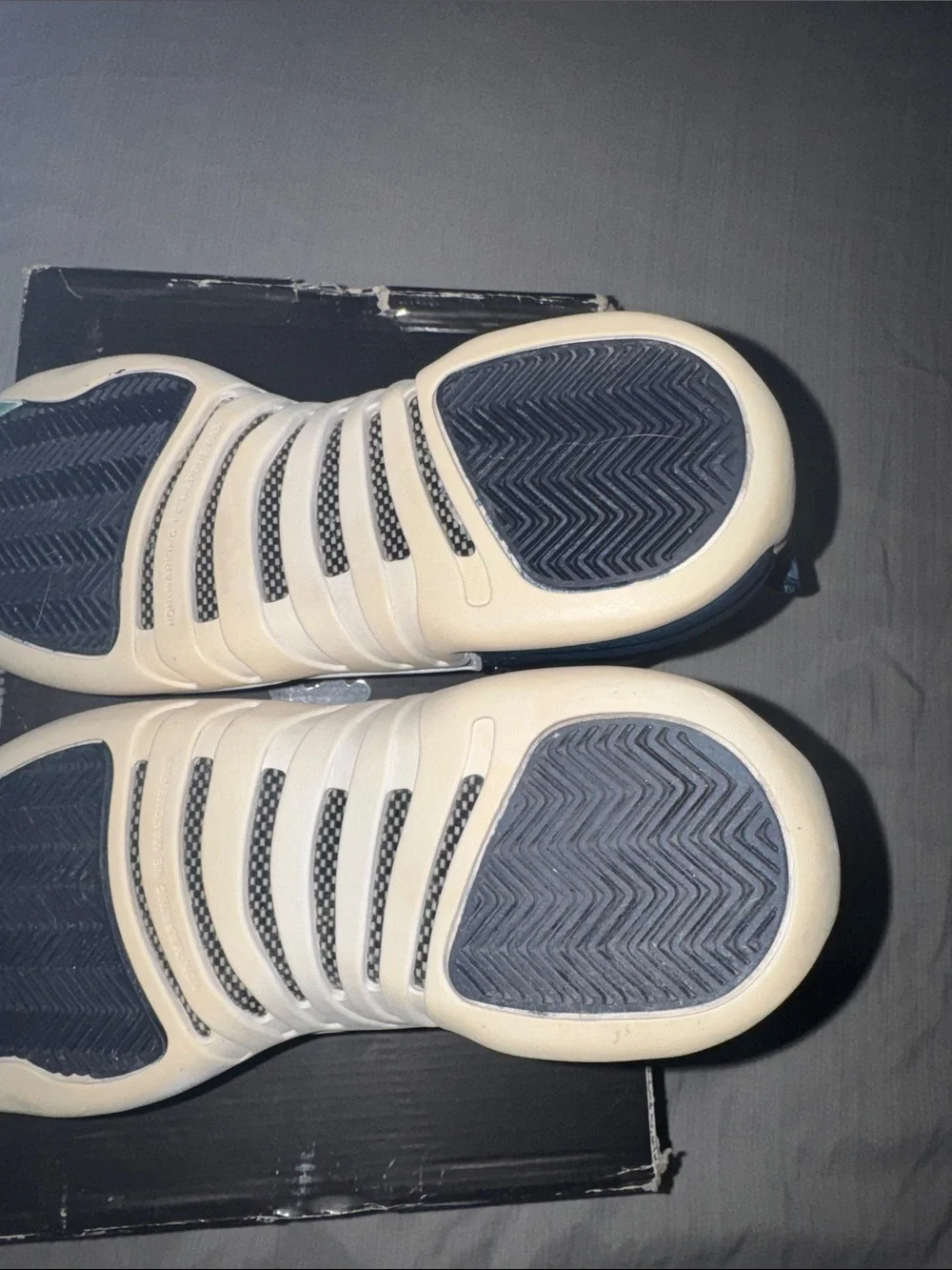 Jordan 12s (GS) size 7